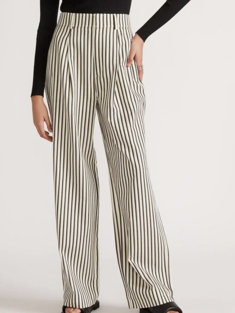 Everlane Size 4 Draper Pleated High-Rise Wide Leg Striped Trousers
